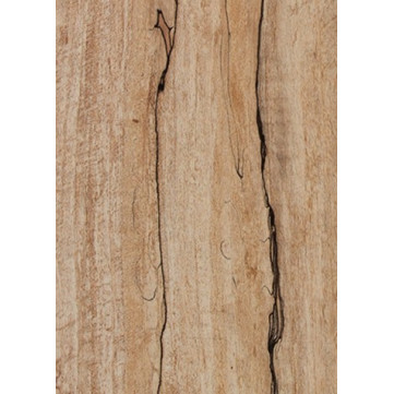 Spalted Maple