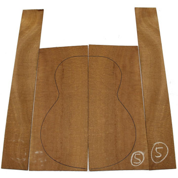 Sapele
