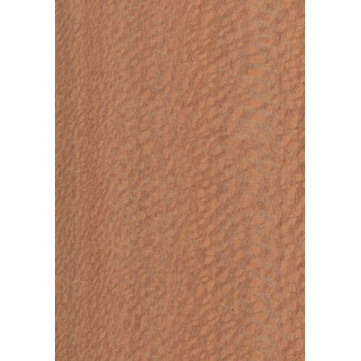 Lacewood