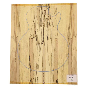 Spalted Beech