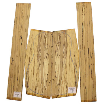 Hêtre Spalted