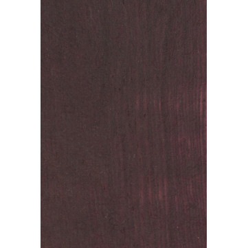 Campinceran