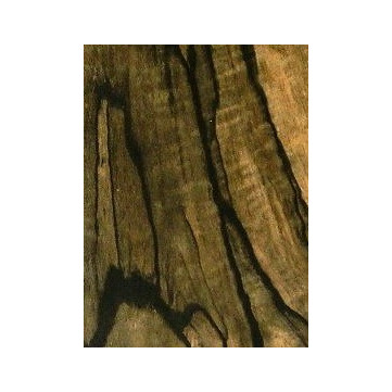 Exotic African Ebony