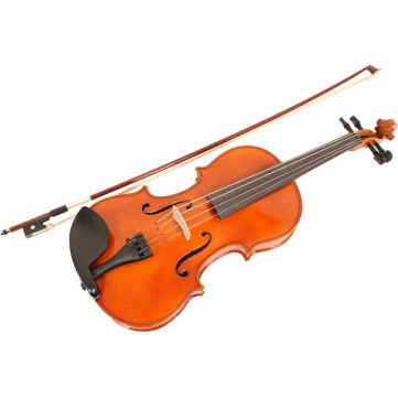 Viola