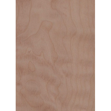 Quilted Maple