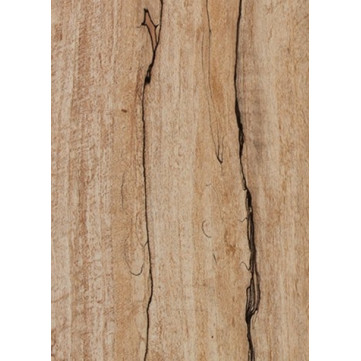 Arce Spalted