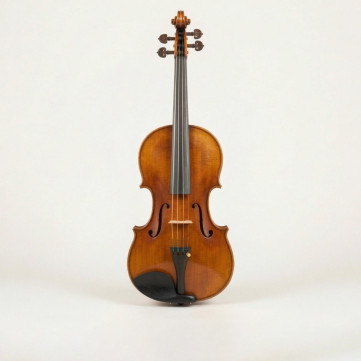 Viola
