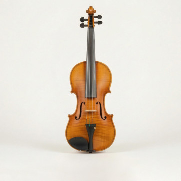 Violín