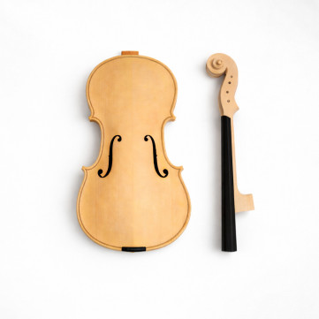 Kits Viola
