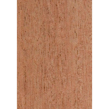 Samanguila