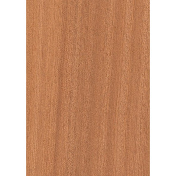 Sapelli