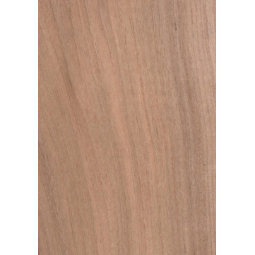 European Walnut