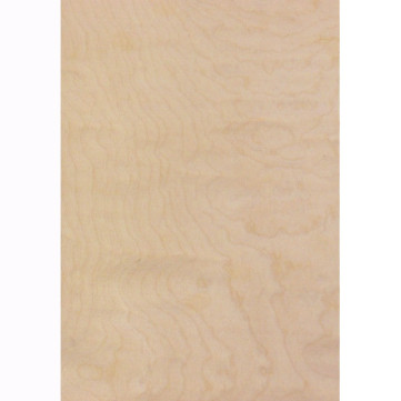 Exotic Maple