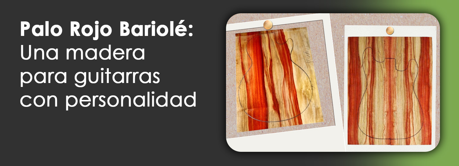 Palo Rojo Bariolé para eléctrica