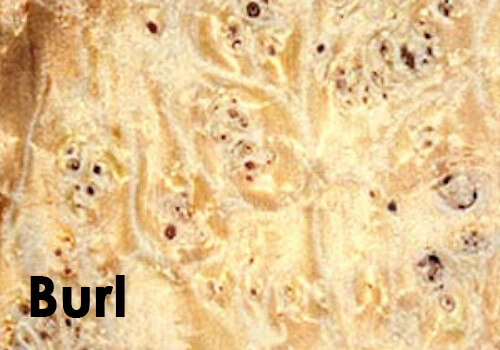 Burl