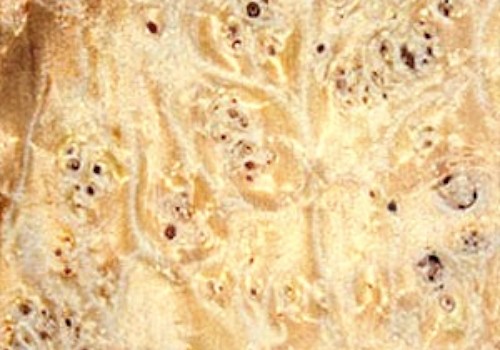 Burl