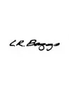 LR Baggs