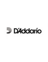 D'Addario